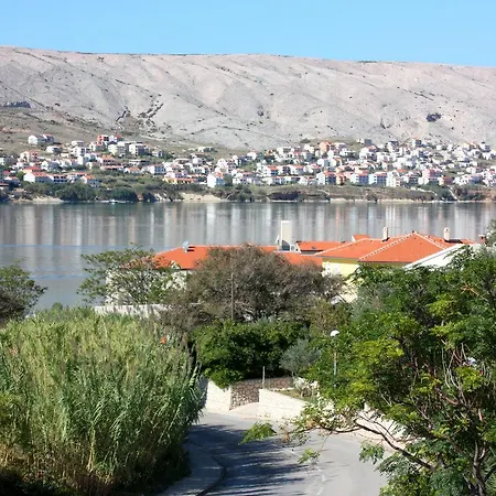 Viz Pag *